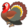 22265-turkey icon
