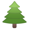 22329-evergreen-tree icon