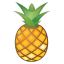32347-pineapple icon