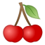 32353-cherries icon