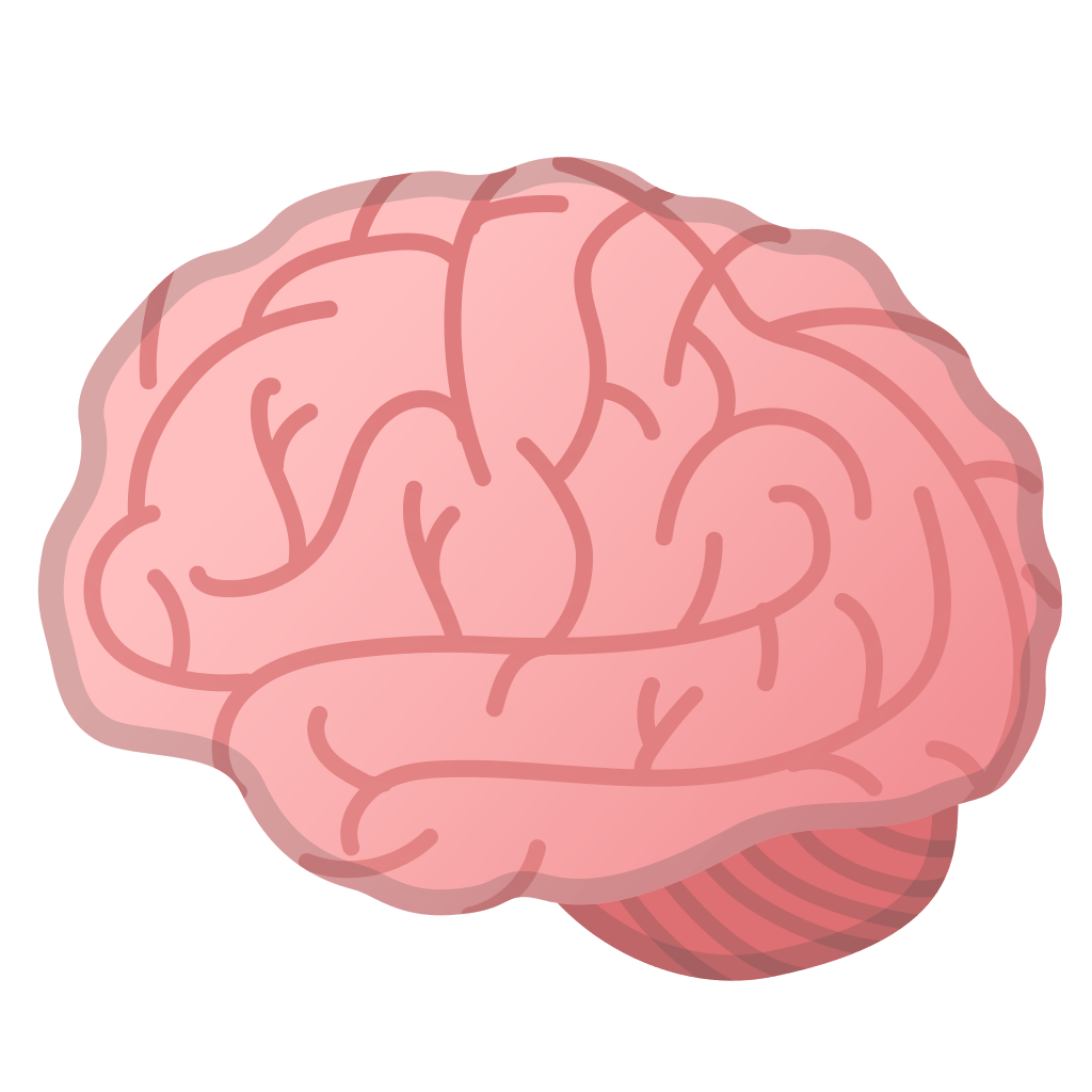 Brain Icon | Noto Emoji Clothing & Objects Iconset | Google