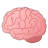 12130-brain icon