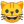 Grinning cat face icon