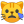 Crying cat face icon