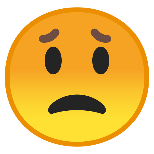 10056-worried-face icon