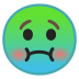 10079-nauseated-face icon