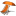 Orange-04 icon