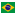 Brazil-flat icon