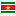 Suriname flat icon