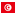 Tunisia-flat icon