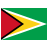 Guyana-flat icon