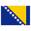 Bosnia and Herzegovina flat icon