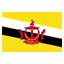 Brunei flat icon