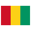 Guinea-flat icon
