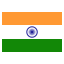 India flat icon