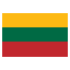 Lithuania flat icon