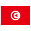 Tunisia flat icon
