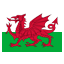 Wales flat icon