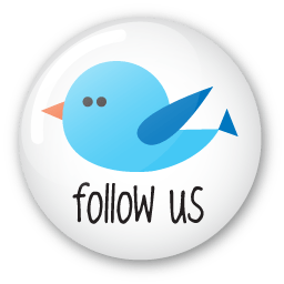 Twitter button follow us icon