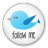 Twitter-button-follow-me icon