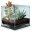Succulent Terrarium icon