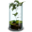 Mossy Terrarium icon