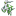 Arceus Grass icon