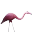 Pink flamingo icon