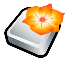 Adobe Illustrator icon