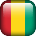 Guinea icon