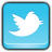 Social Network Twitter icon