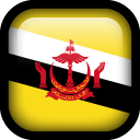 Brunei Flag icon