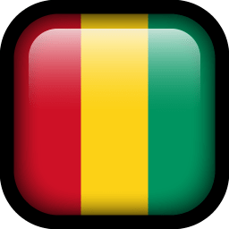 Guinea Flag icon