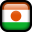 Niger-Flag icon