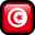 Tunisia-Flag icon