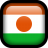 Niger-Flag icon
