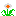 Board-1-Flower icon