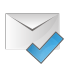 Mail check icon