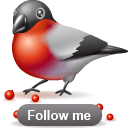 Bullfinch-follow icon