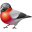 Bullfinch icon
