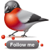 Bullfinch-follow icon