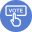 Election Vote 2 icon