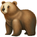 Grizzly-Bear icon
