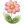 Garden Flower icon