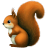 Red Squirrel icon