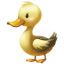 Duck Baby icon