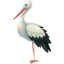 White Stork icon