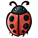 Cute Ladybug icon