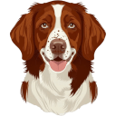 Brittany Dog icon