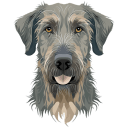 Irish Wolfhound icon